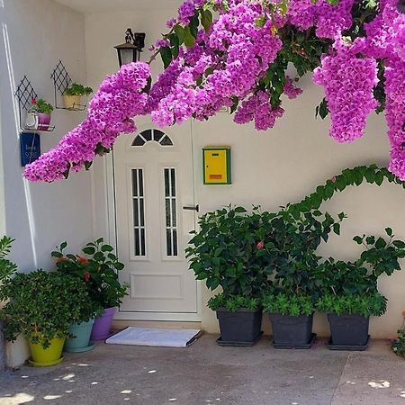Guest House Mediterranean Hvar Town Eksteriør bilde